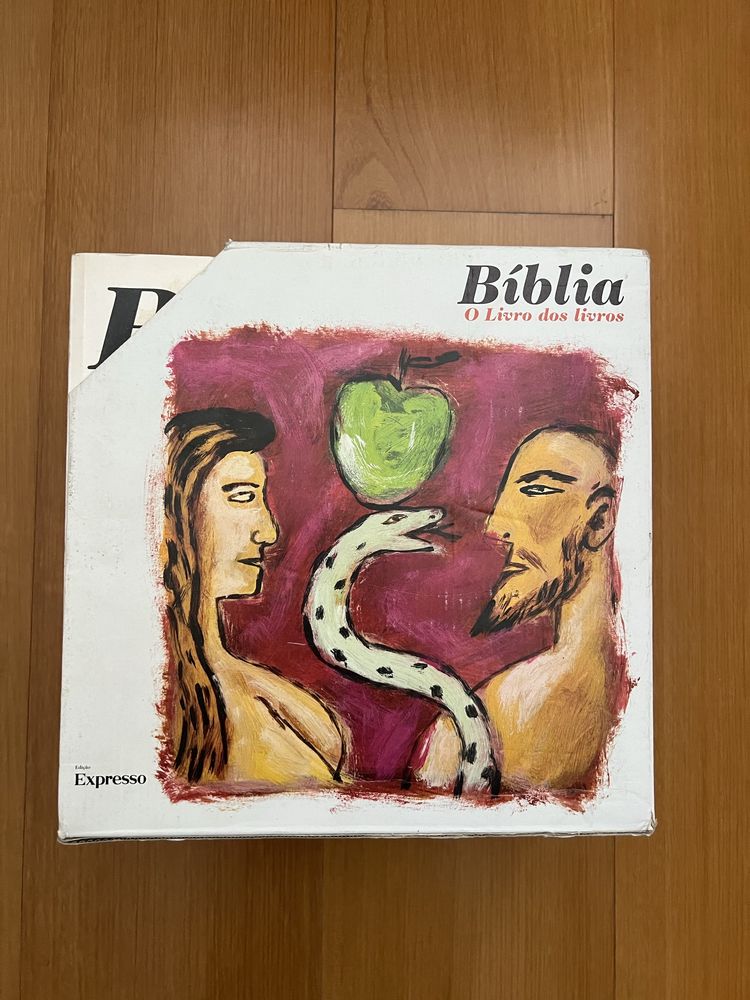 Bíblia O Livro dos Livros Expresso