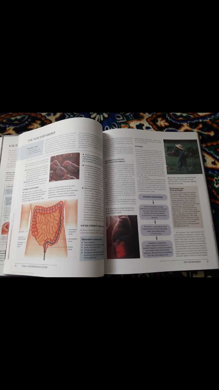 Новая огромная Илюстрированная медицинская энциклопедия для всей семьи