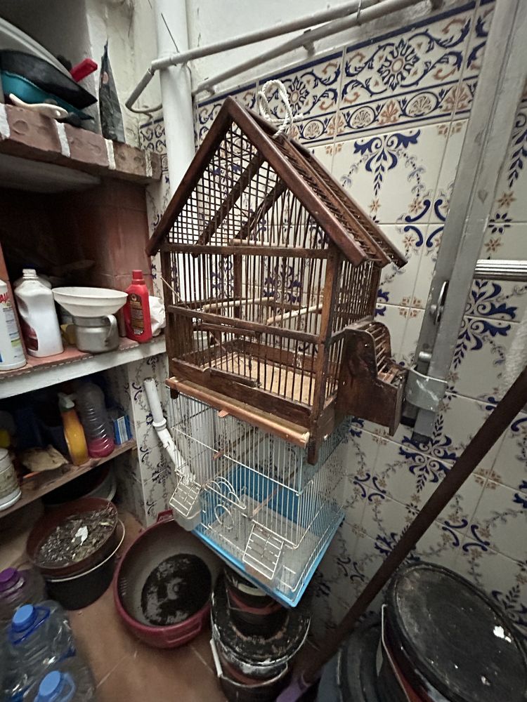 Gaiolas para passaros