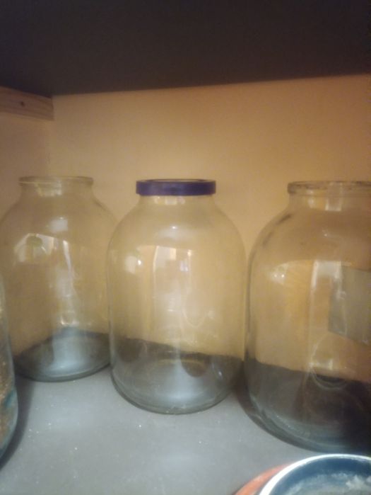 Банка 3 литра + бонусом 25-30 банок