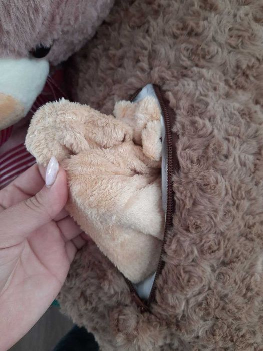 Ведмедики з пледами