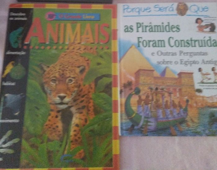 Livros juvenis (áreas Ciências e História)