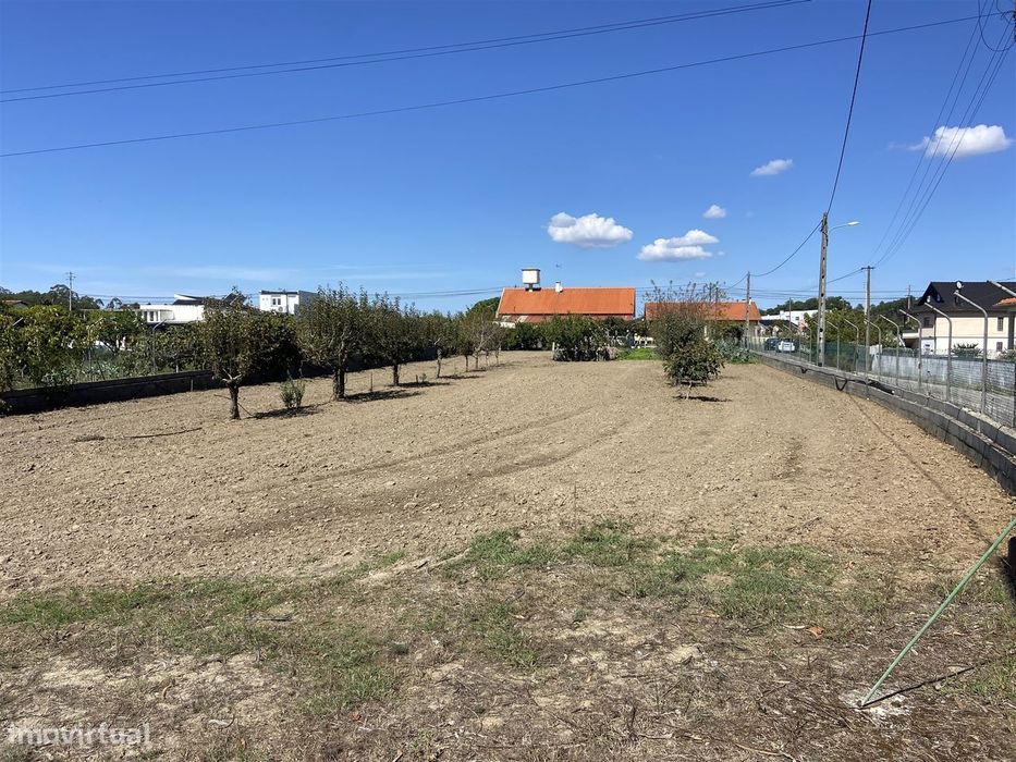 Terreno / Riba D´Aves / Ortigosa / Leiria
