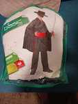 Vendo fato de Carnaval Zorro
