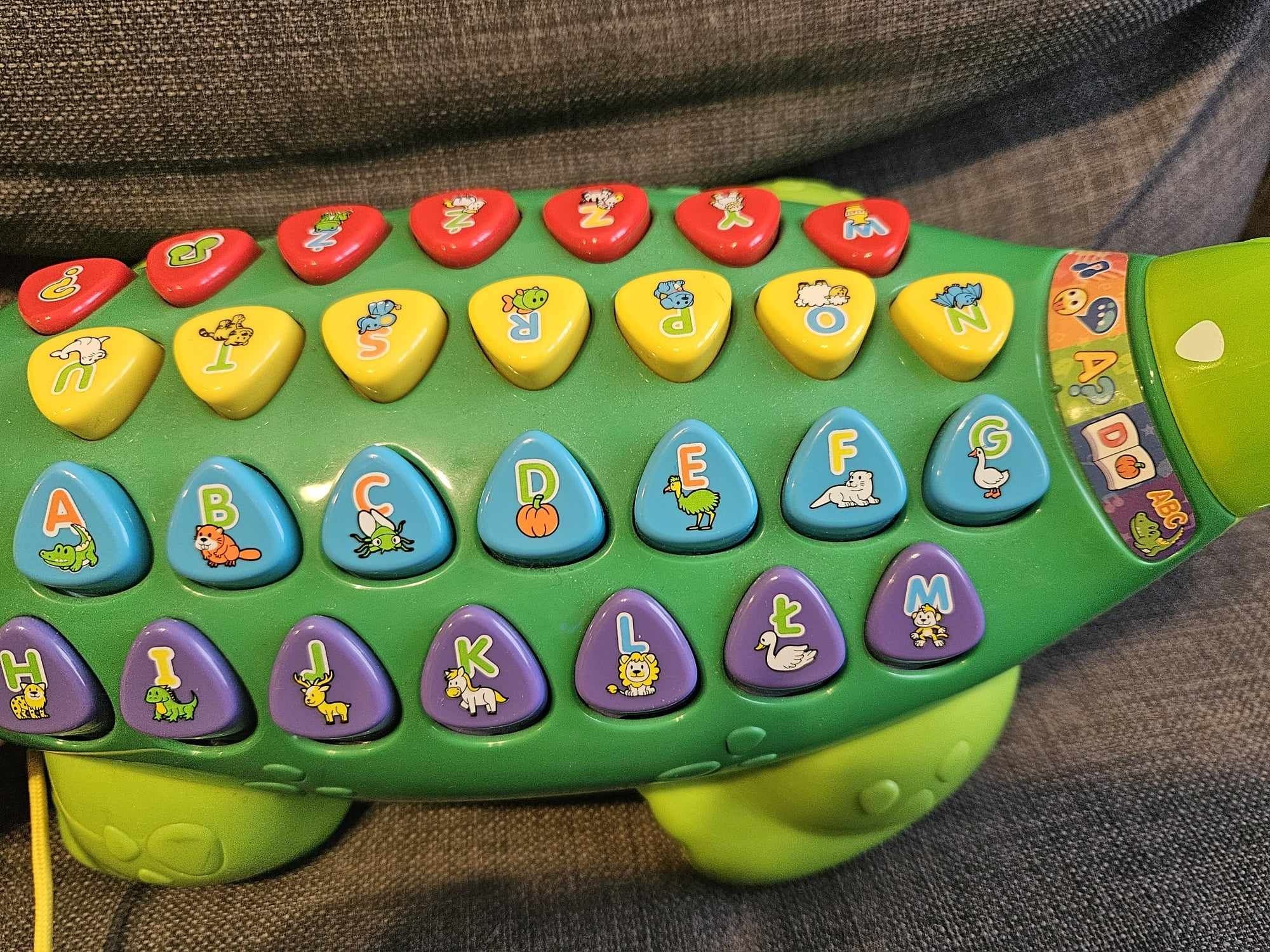 Aligator Edukator