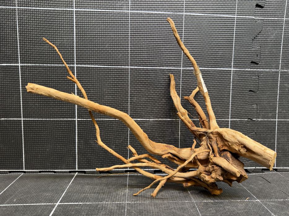 Korzeń red moor wood n-293