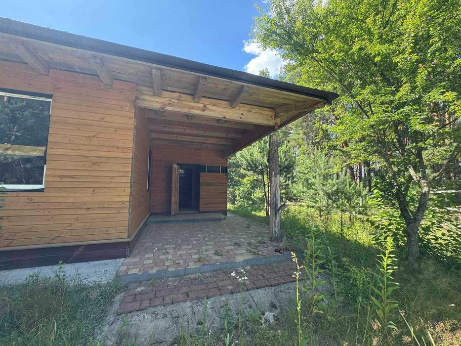 Будинок у сосновому лісі