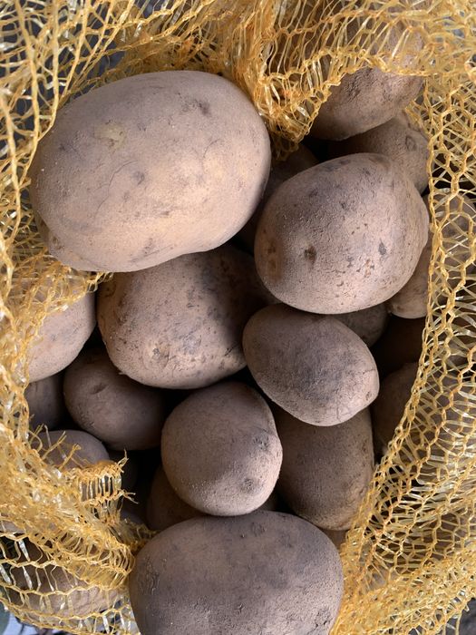 Ziemniaki jadalne Gala Soraya Lilli Red Sonia Queen Anne