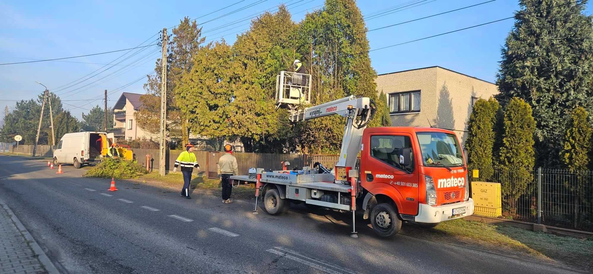 wycinka drzew usługi rębakiem przycinanie gałęzi żywopłotów zwyżka