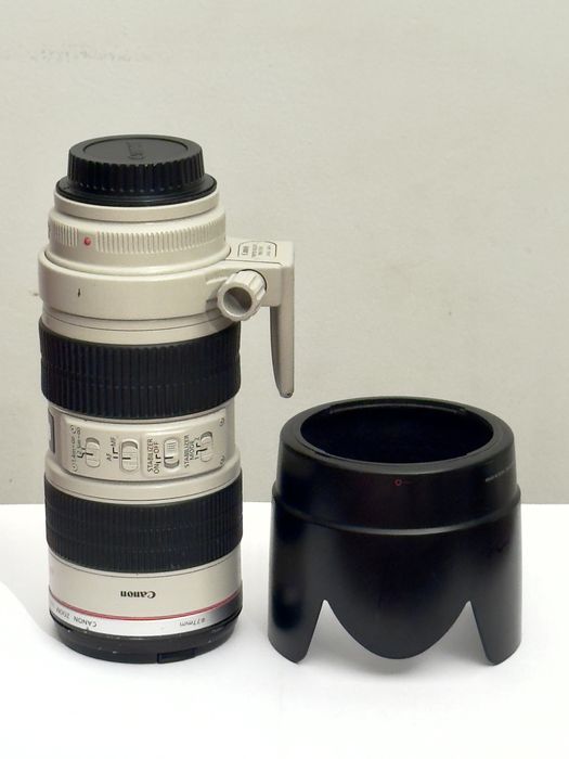Canon EF 70-200mm f/2.8L IS II USM
