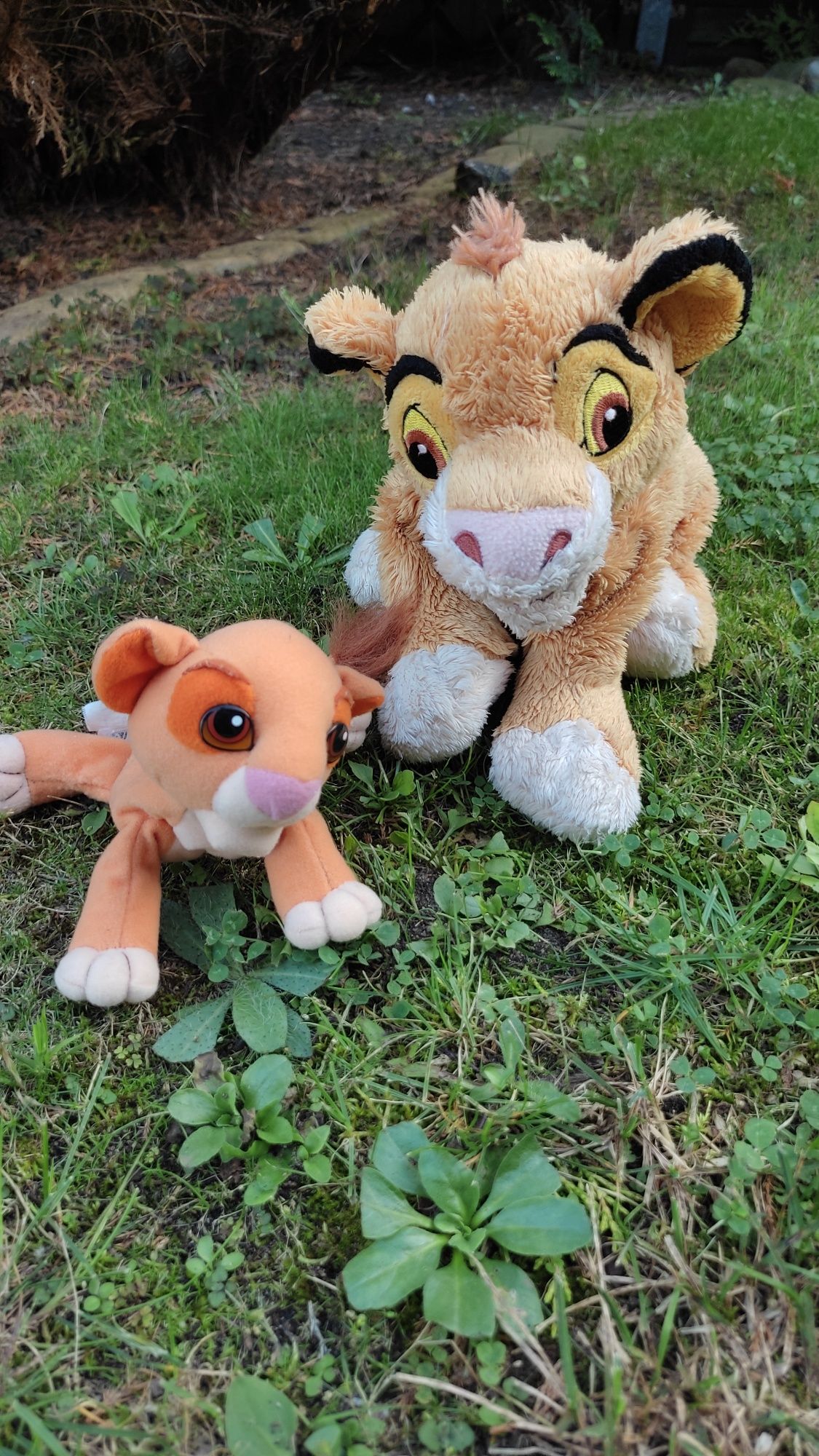 Maskotka pluszak Simba Król lew+ gratis mały Simba