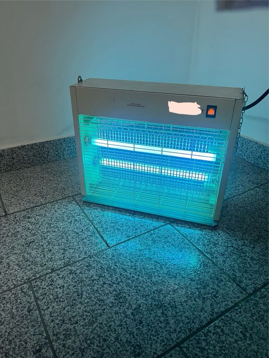 Luz contra moscas e mosquitos