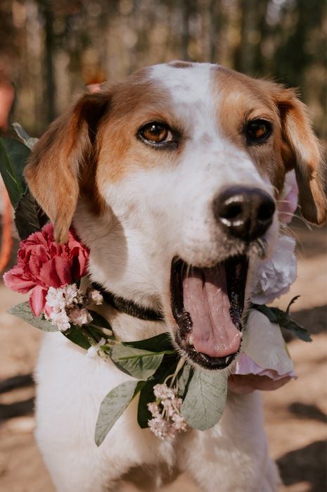 Wygłodzona Hafta zasługuje na lepsze życie