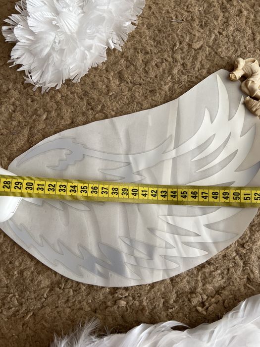 Крила для фотозони та тортика