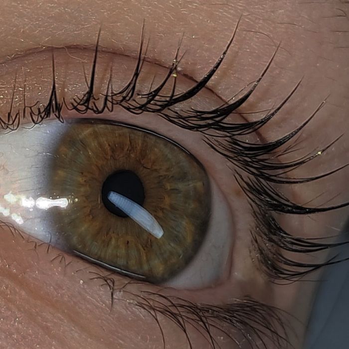 Brwi laminacja/farbowanie