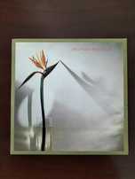 Lp em vinil dos New Musik