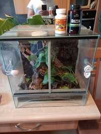 Własnoręcznie wykonane terrarium