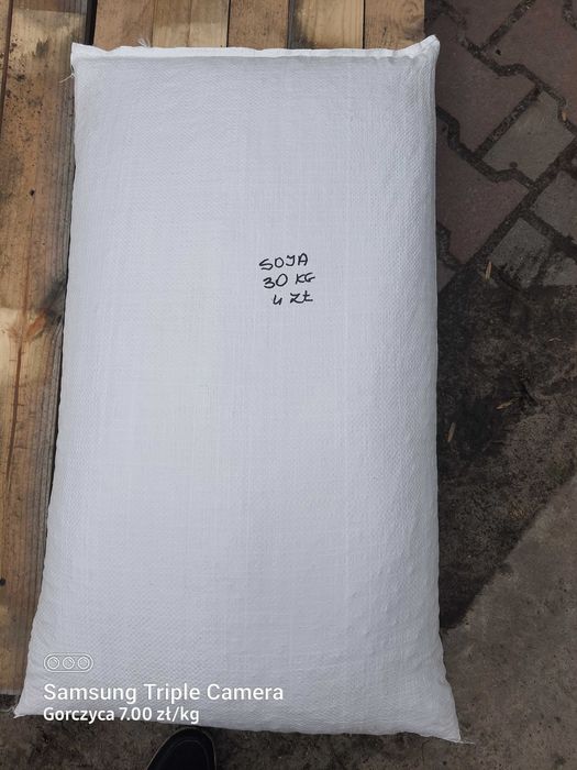 LUCERNA sorgo BÓB bobik łubin peluszka groch koniczyna rzodkiew płużna