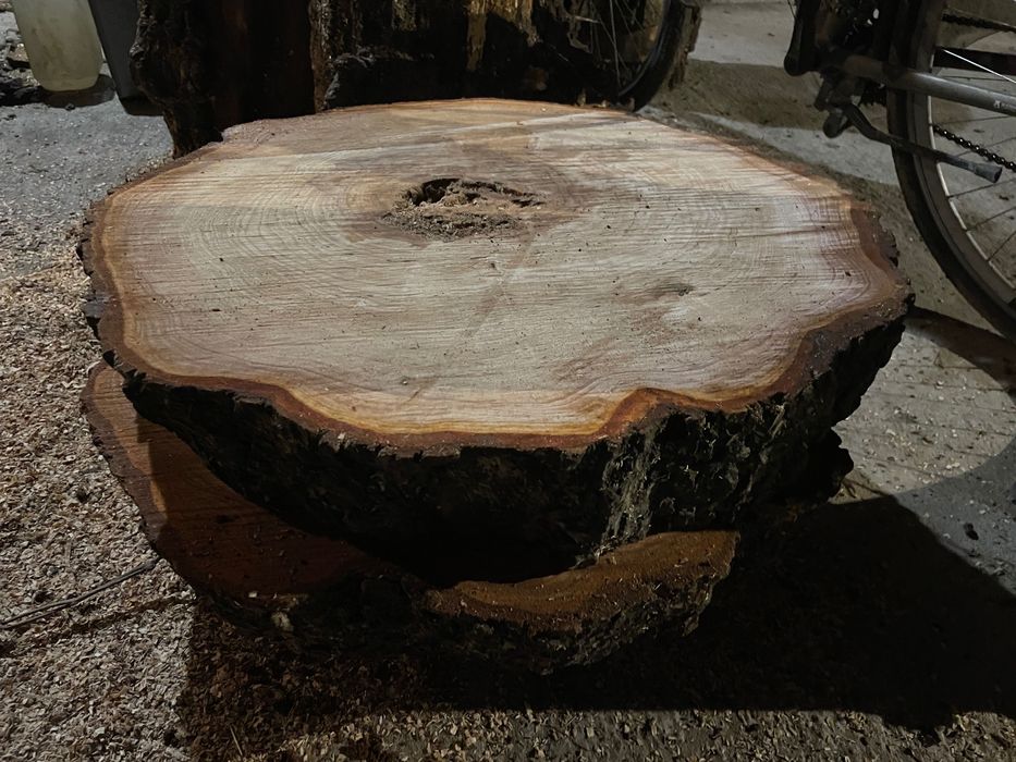 Plastry drewna z drzewa olchowego