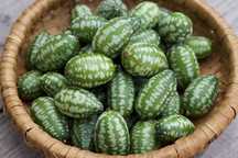 10 sementes de Pepino Cucamelon variedade rara