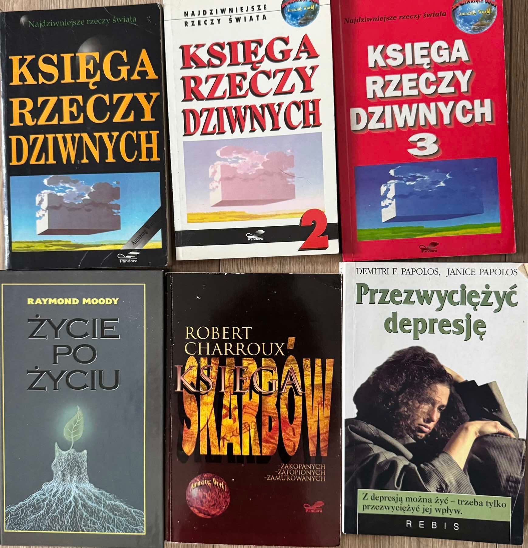 Księga rzeczy dziwnych, życie po życiu, przezwyciężyć depresje