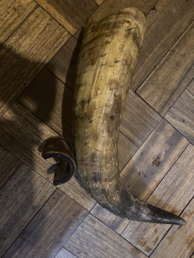 Chifre de animal em forma de peixe