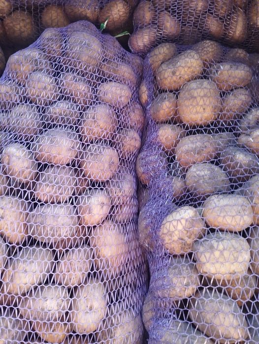 Картошка з власного городу з доставкою до підїзду