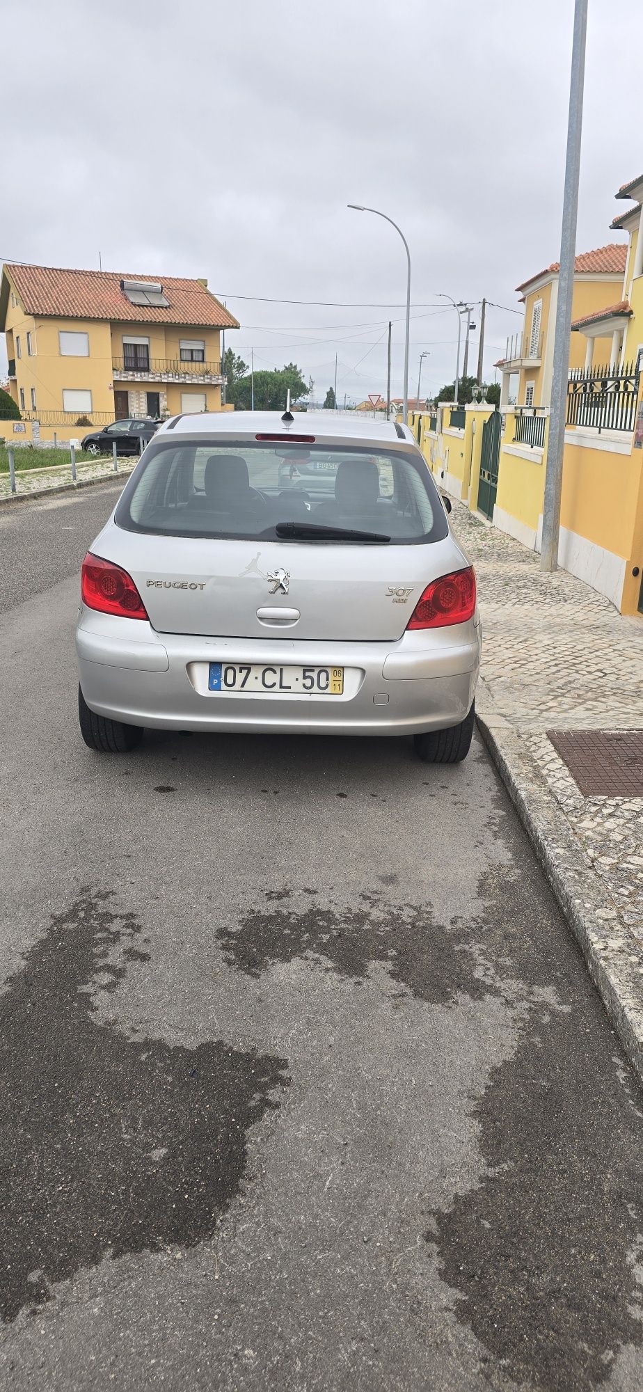 Pegueot 307 1.6 hdi 110cv