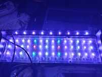 Akwarium morskie Lampa LED Div power led