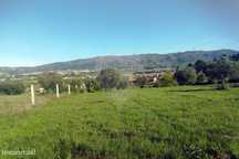 Terreno  para venda