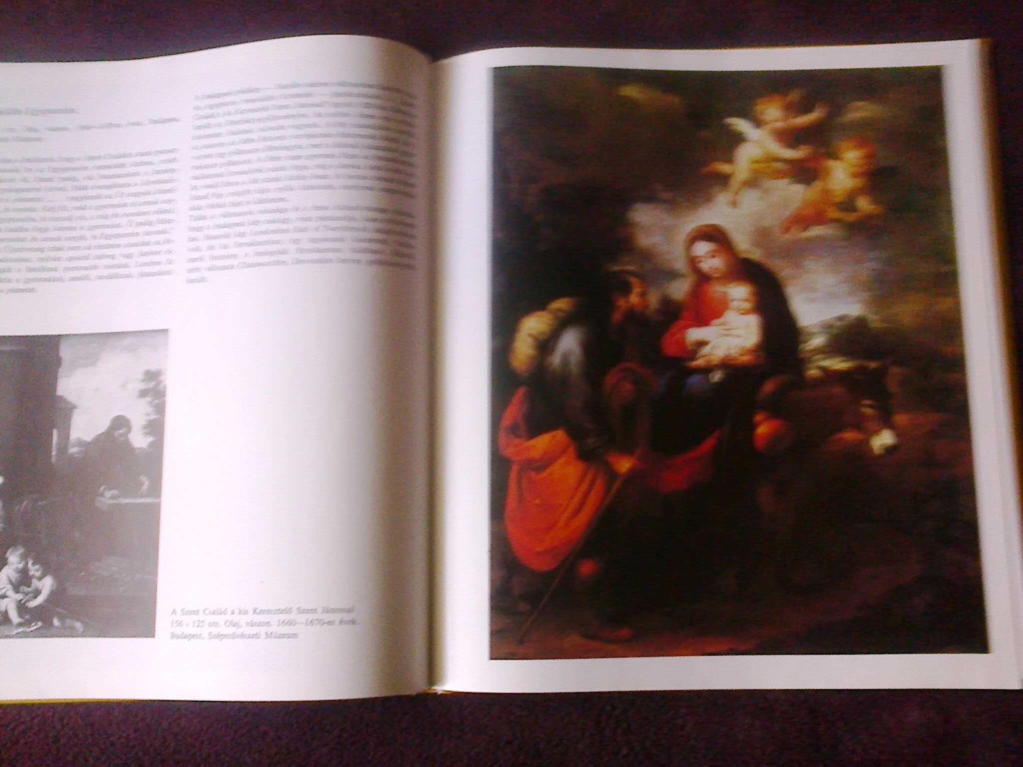 Книга на венгерском Murillo