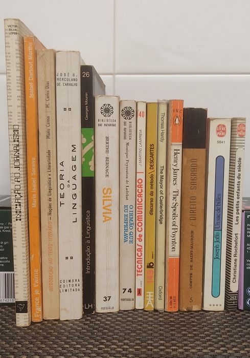 Lote de 14 livros