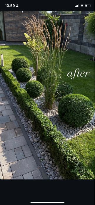 Декоративна стрижка та обрізка зелені, хвойних дерев та кущів, та ін