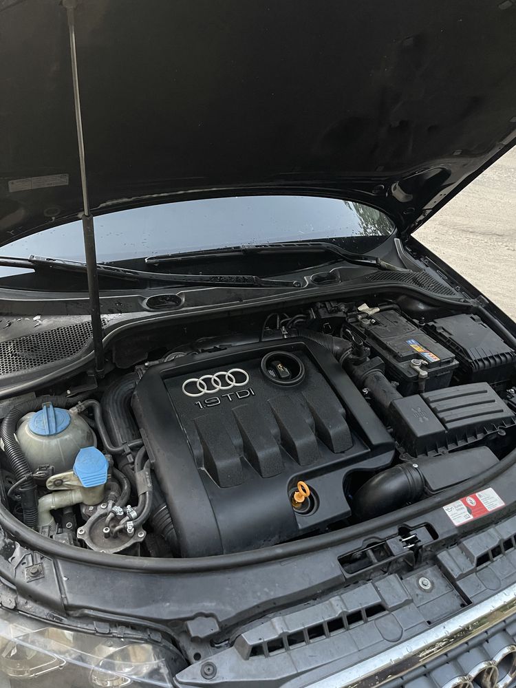 Audi A3 1,9 TDI.   2005