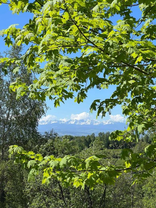 Domek na odludziu, cisza spokój balia widok Góry Patio Grill palenisko