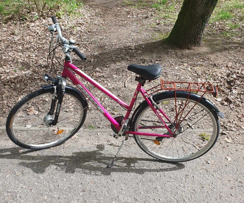 Rower damka różowy