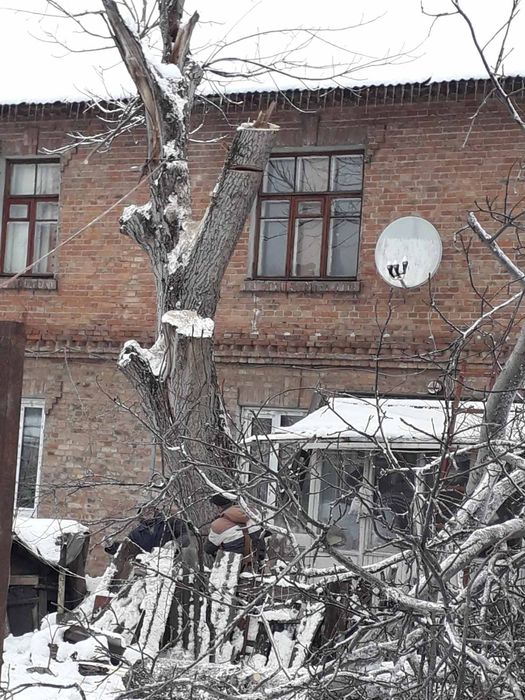 Видалення аварійних дерев Є послуги автовишки. Є послуги ЩЕПОРІЗА