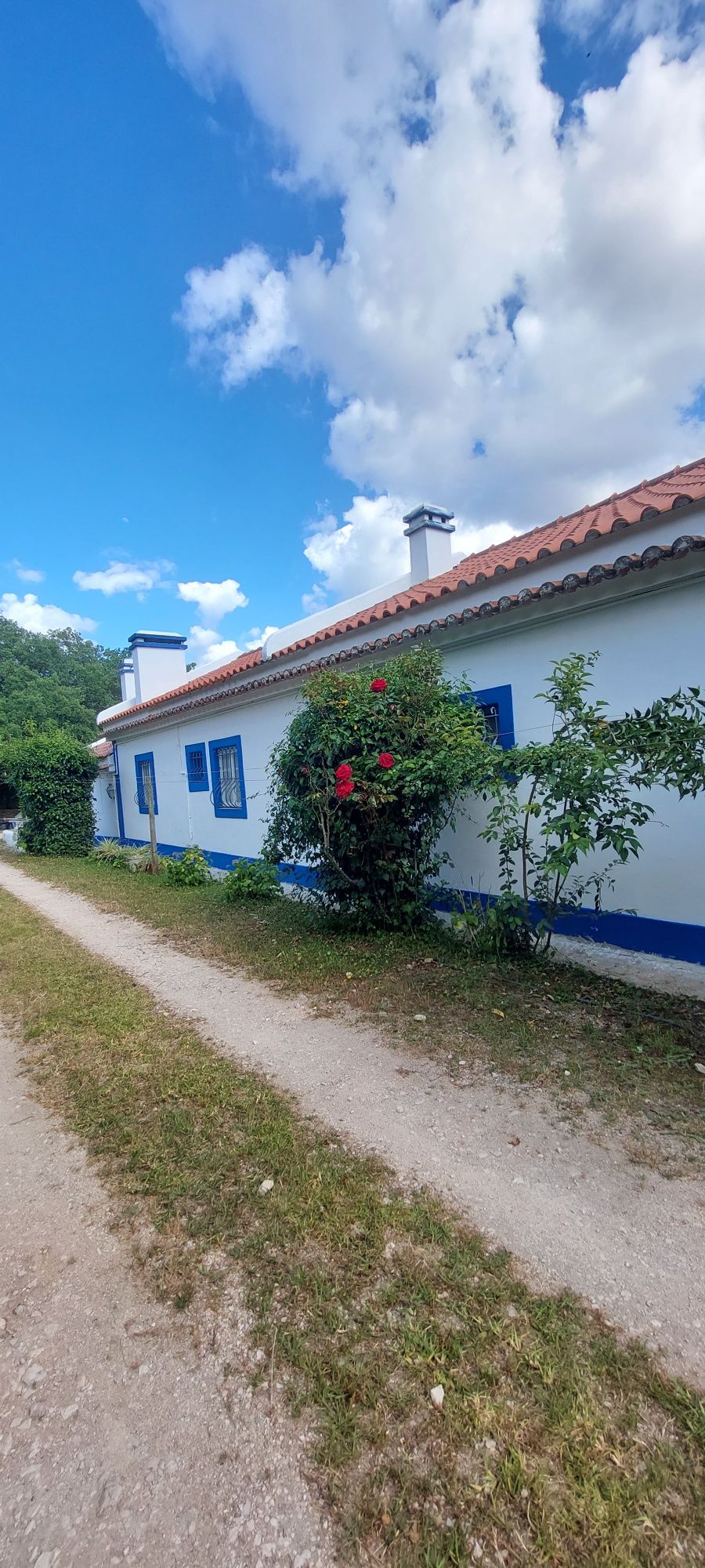 Pinturas , Pladur, Piso e Remodelação