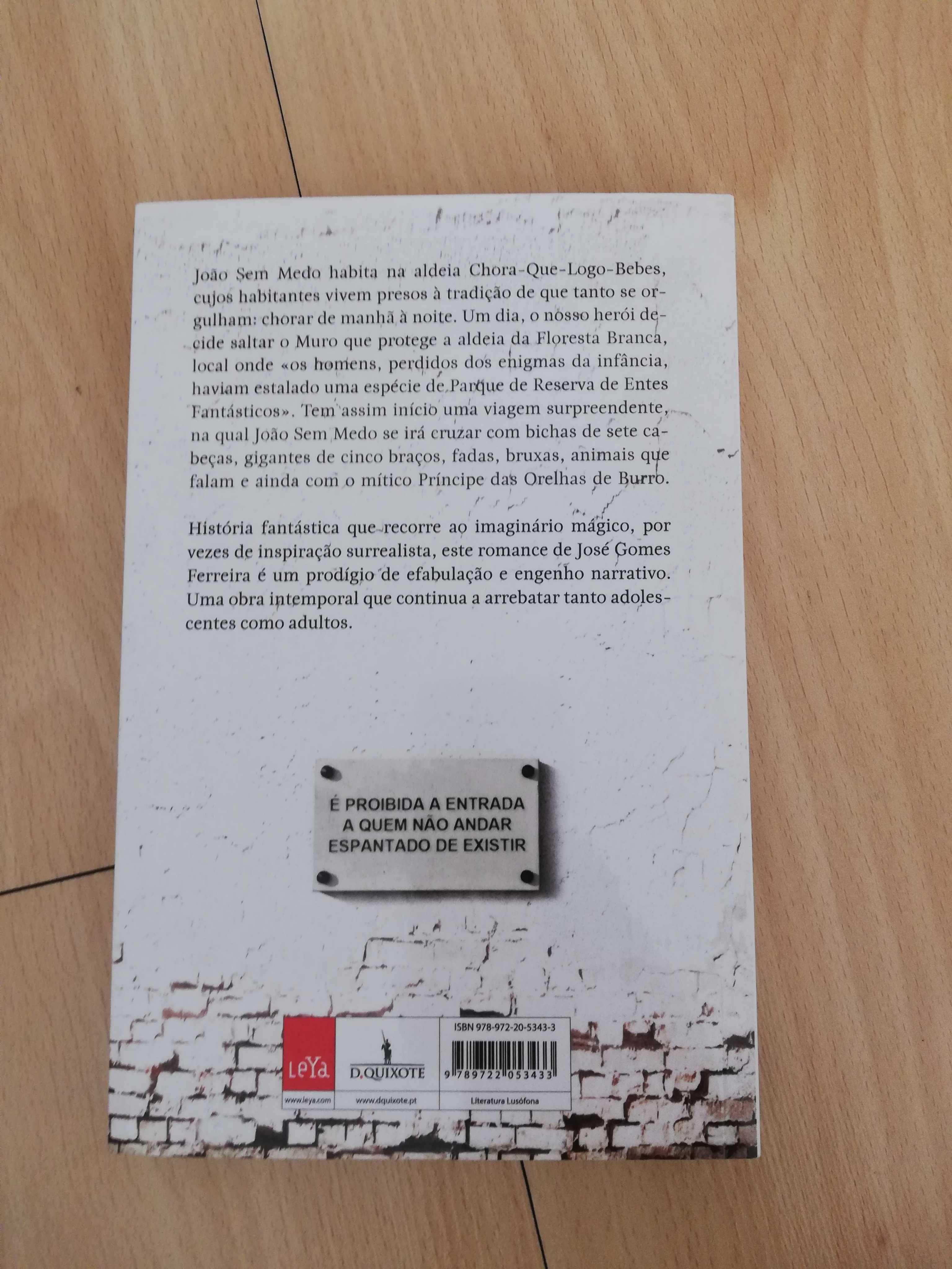 Livro-as aventuras de João sem medo