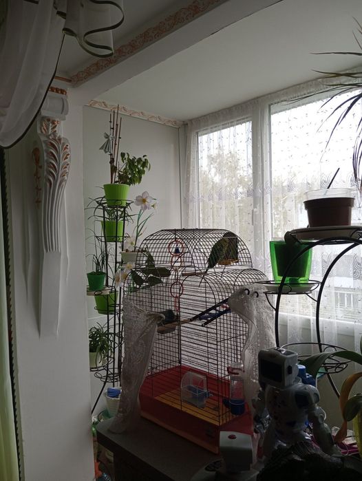 Продам двокімнатну квартиру