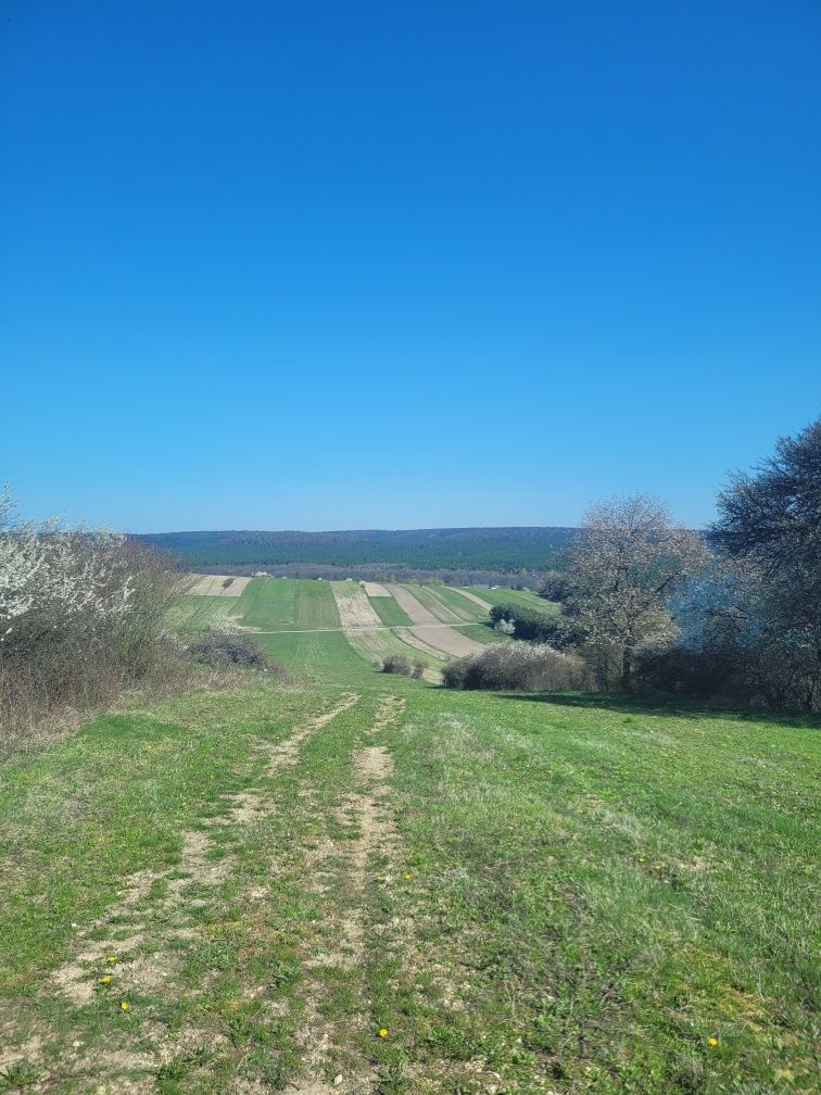 Domek na Roztoczu  Obrocz, zwierzyniec, spływy kajakowe, paintball,