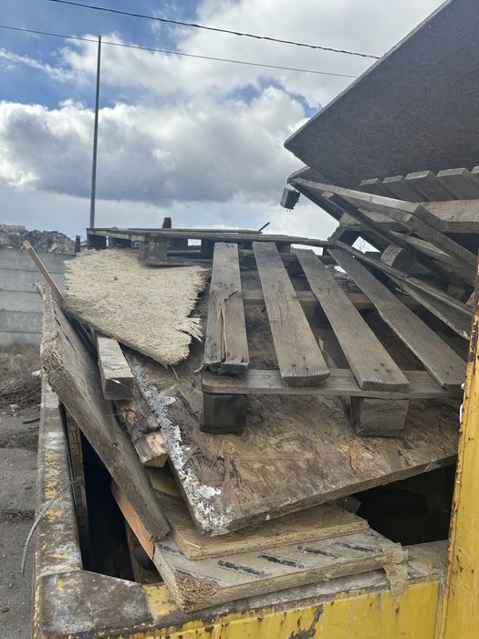 Oddam drzewo za darmo