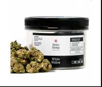 Susz Konopny CBD White Widow Premium HQ 20g < 10% CBD