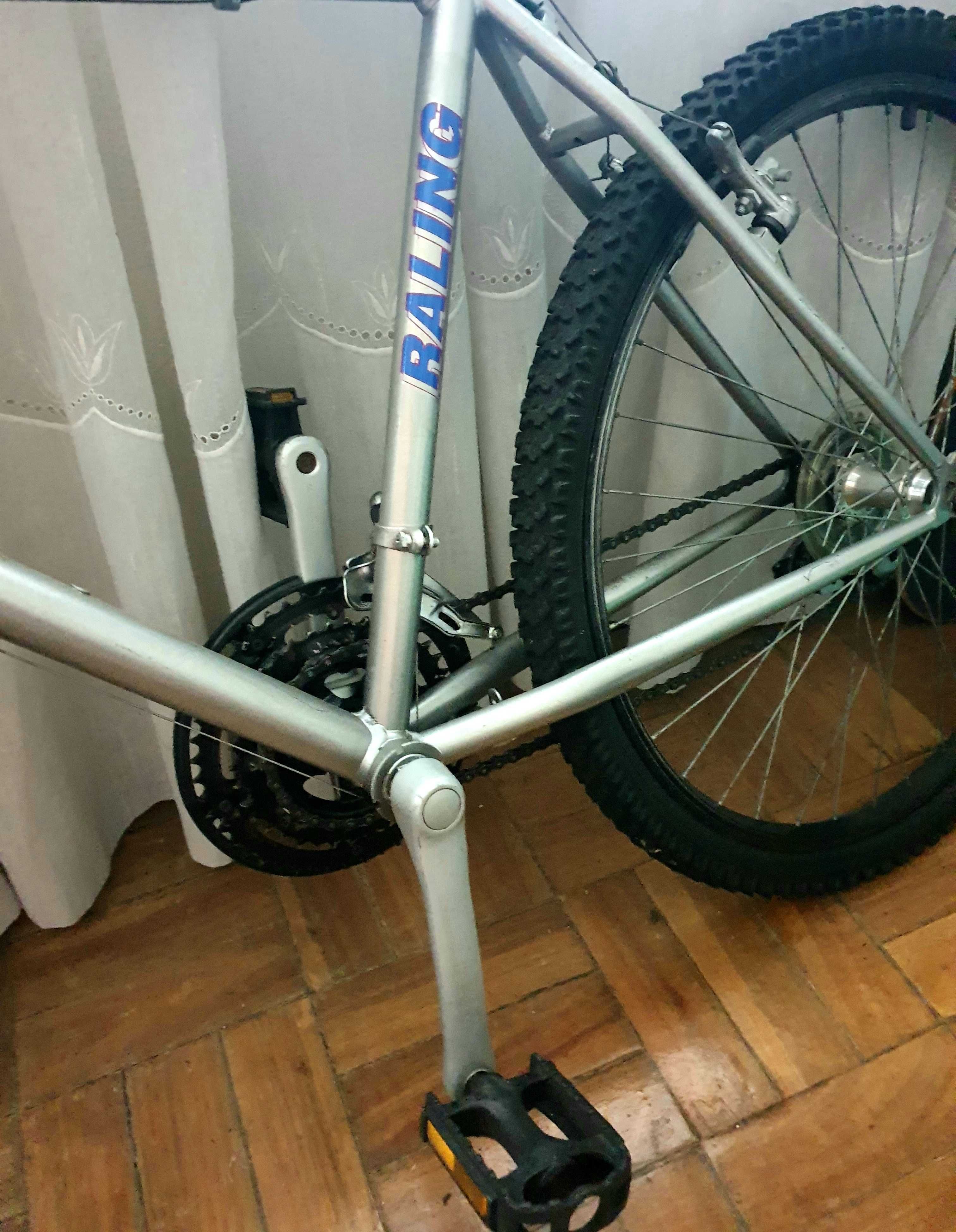 Bicicleta adulto