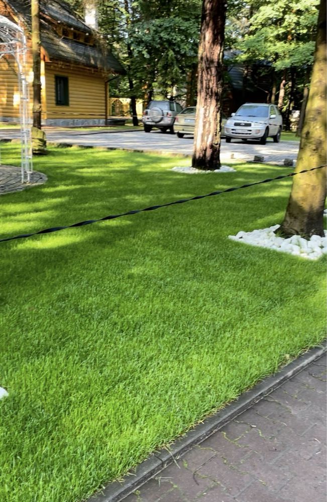 PROMOCJA 40 M2 Trawa w rolce, trawa z rolki, trawa, TRAWNIK POLSKI