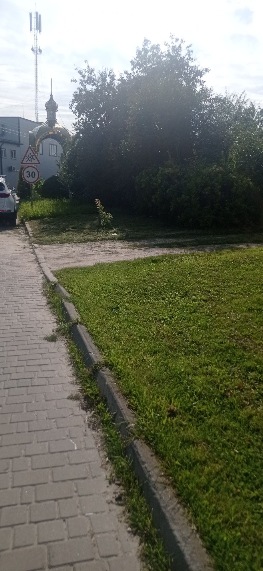 Косіння трави,зрізка дерев та інші роботи на ділянках у Львові