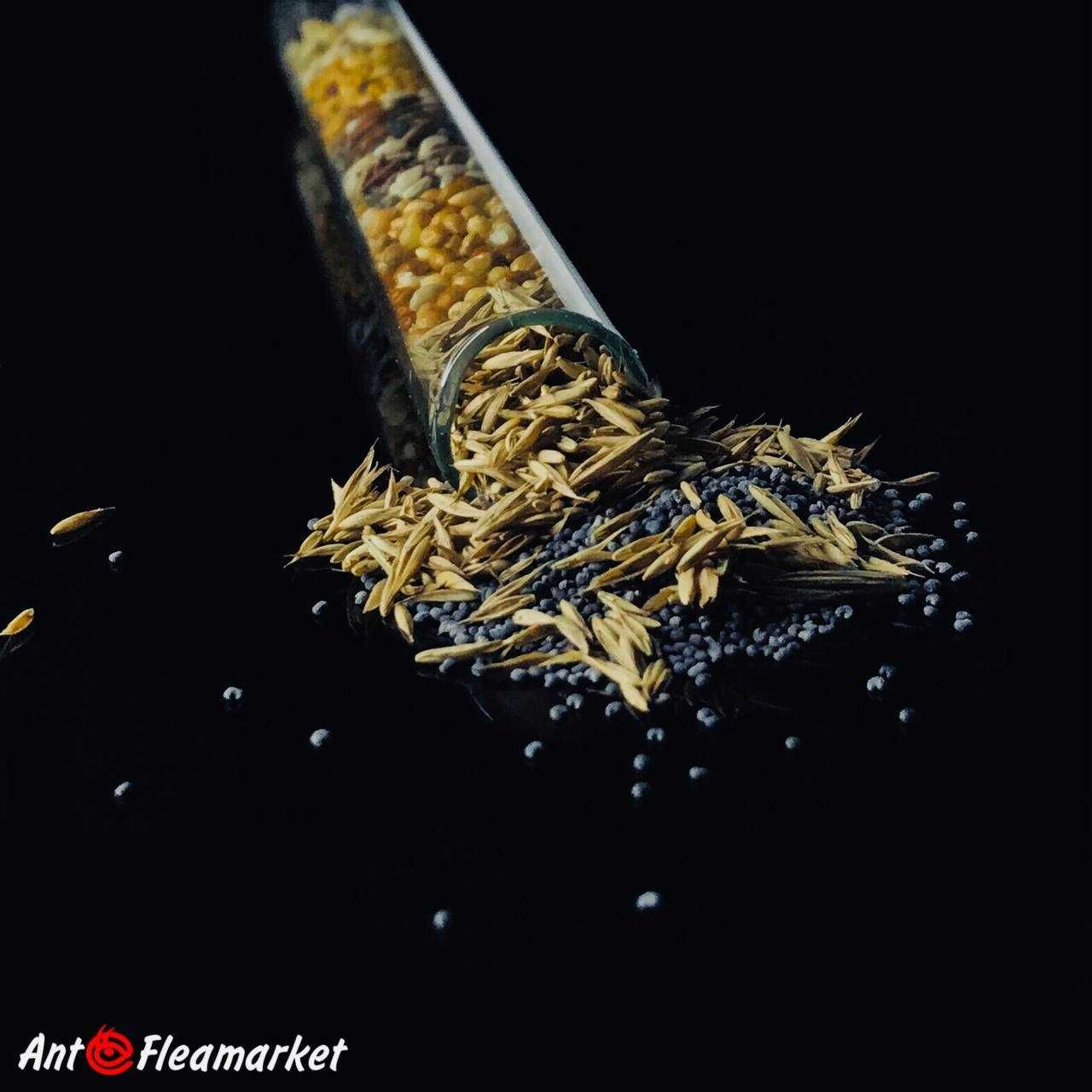 Корм мікс насіння для мурах|Ant/Мурахи/Тварини/Формикарій