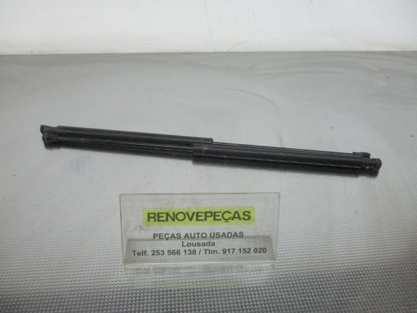 Amortecedor do capot CITROËN C5 II (RC_)