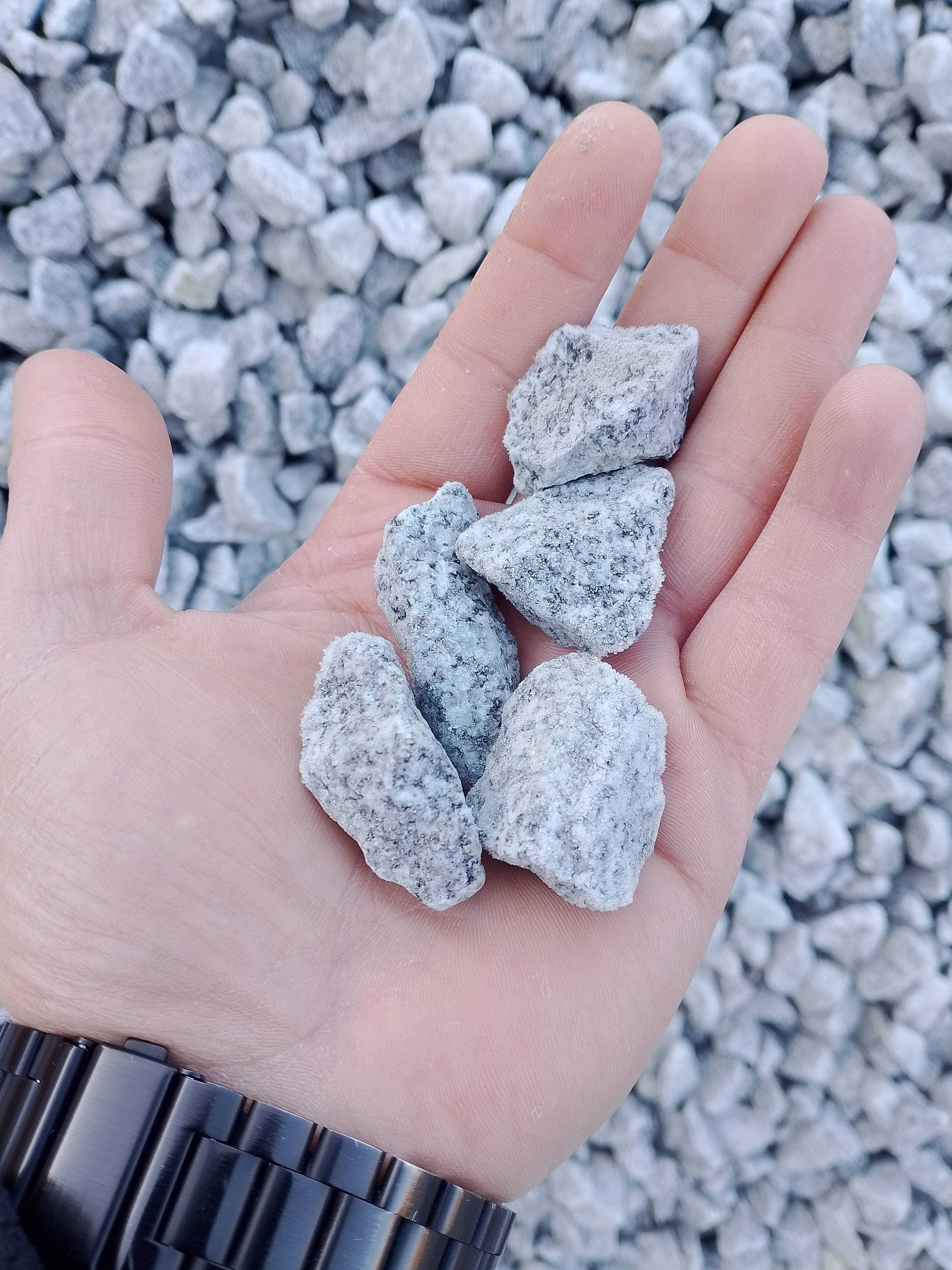 Grys Granitowy Dalmatyńczyk -  Nysa Darex - Dostawa od 1 Tony