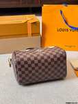 Louis Vuitton Speedy 25 Fashion Head Bag